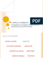 Capital Markets Overview: Market Participants and Financial Innovation