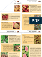 Ficha de Plantas Nativas Del Peru Ciencia