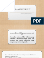 Asam Nukleat