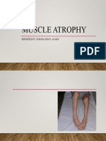 Steps Report - Muscle Atrophy