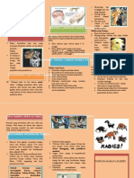 Leaflet Rabies PDF Free Dikonversi