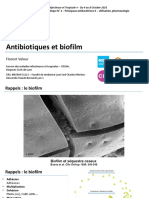 Conf 3 Antibiotiques Et Biofilm F Valour