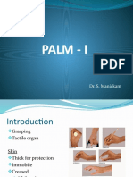 PALM ANATOMY: STRUCTURES AND FUNCTIONS