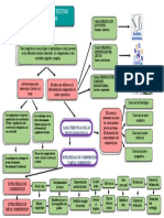 Mapa Conceptual