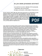 Загальний опис рослини ромашки аптечна-Васильєва Д-11