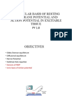 Molecular Basis of Resting Membrane Potential and Action