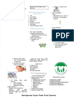 PDF Leaflet Manajemen Nyeri