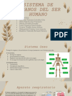 Sistema de Órganos