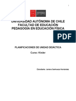 Formato Elaboración de Planificaciones 