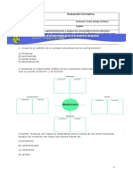 EVALUACION OCTAVO