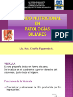 CUIDADO NUTRICIONAL EN PATOLOGÃ AS BILIARES-Clase Virtual