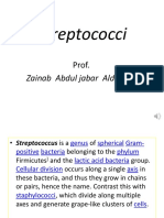Streptococci: Zainab Abdul Jabar Aldhaher