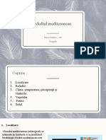 Mediul Mediteranean: Florea Catalina - 10F Geografie