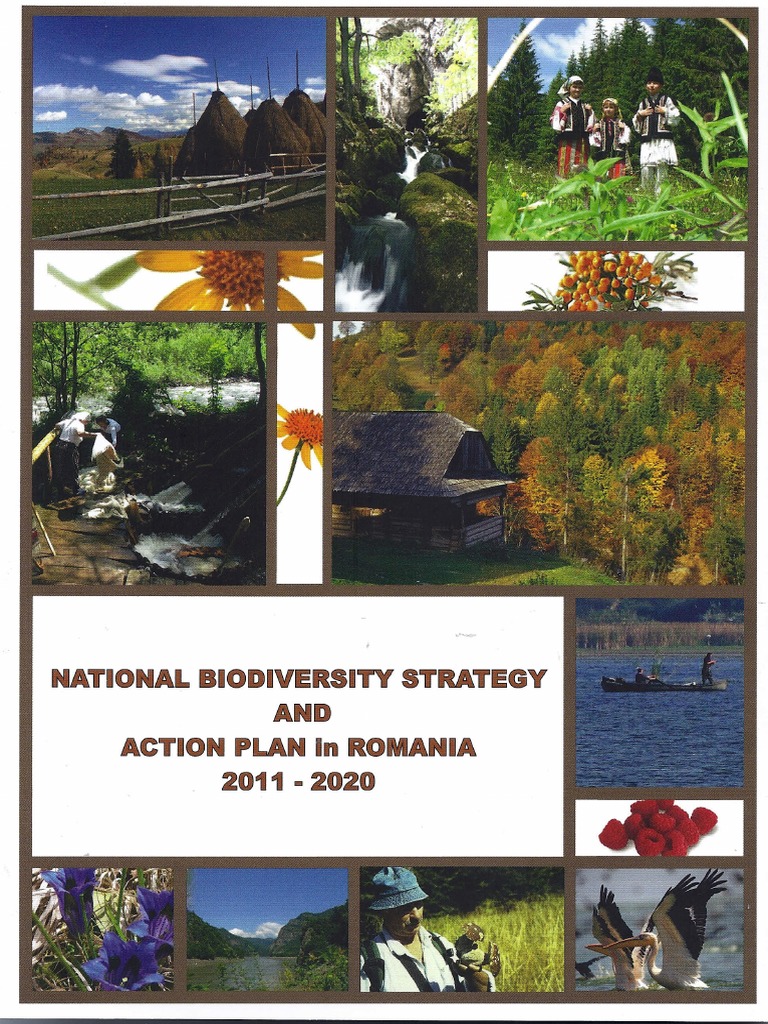 National Biodiversity Strategy AND Action Plan N Romania | PDF ...
