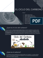 Ciclo Del Carbono