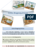 Ciclos Biogeoquímicos C, N e H20 Material Alunos Ecologia 2018