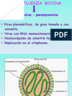 Parainfluenza Bovina