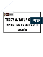 Identificacion Teddy