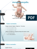 Hepatoesplenomegalia - P1