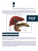 PANCREAS