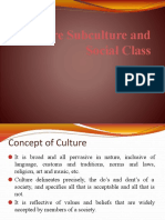 Culture, Subculture, and Social Class Analysis