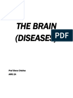 The Brain - Praf Elena Cristina