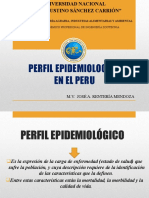 Perfil Epidemiologico en El Peru