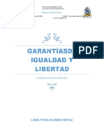 GARANTIAS DE IGUALDAD Y LIBERTAD