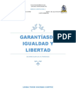 Garantias de Igualdad y Libertad