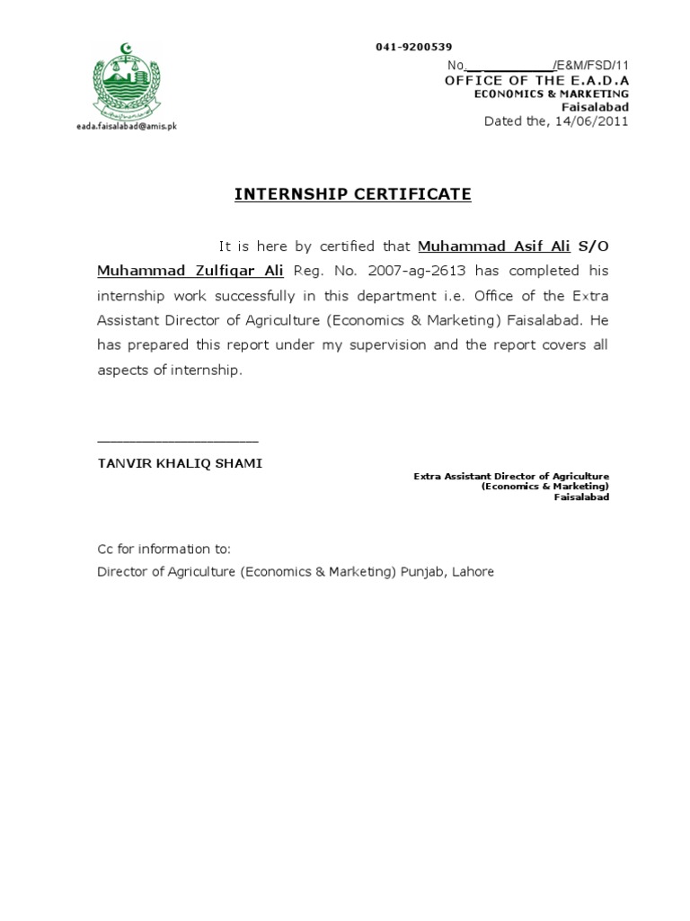 Internship Certificate PDF Business