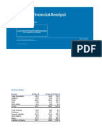 Excel: Balance Sheet: Description