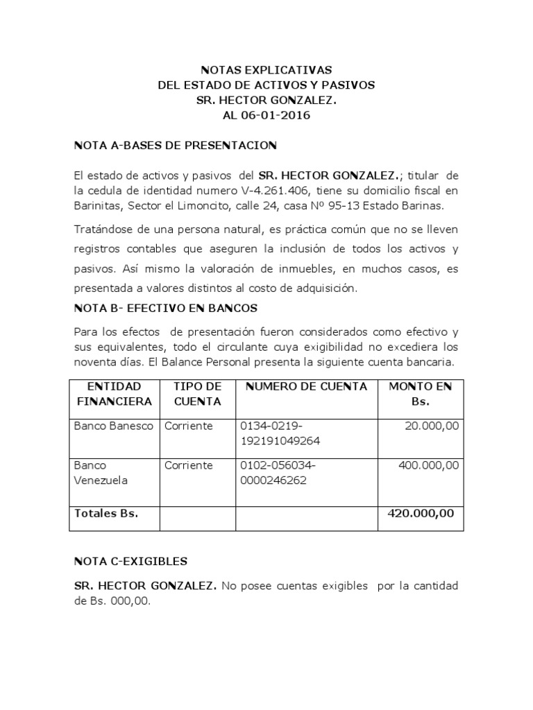 NOTAS EXPLICATIVAS AL BALANCE Modelo PDF Hoja de balance Business