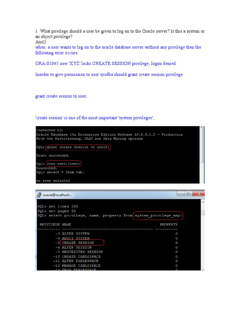 Granting Oracle User Privileges Guide | PDF | Table (Database) | Oracle ...