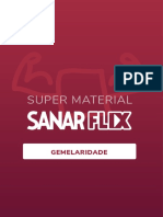 Super Materal - Gemelaridade