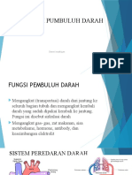 Sistem Pumbuluh Darah