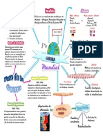 Primera Guerra Mundial. Mapa Mental