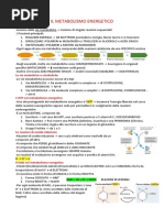 4. IL METABOLISMO ENERGETICO