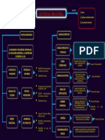 Derechos de propiedad industrial y sus categorías