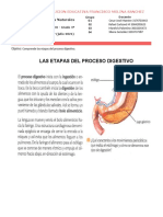 Ciencias Naturales Guia # 7 Periodo 2