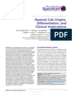 Myeloid Cell Origins, Differentiation, and Clinical Implications