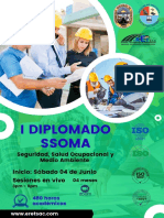 Brochure Diplomado SSOMA