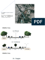 Limitantes-Perfil Vial