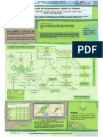 Poster Coppiarolo - PDF PDFA