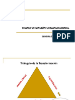 Transformacion Organizacional