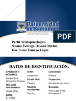 Perfil Neuropsicologiica