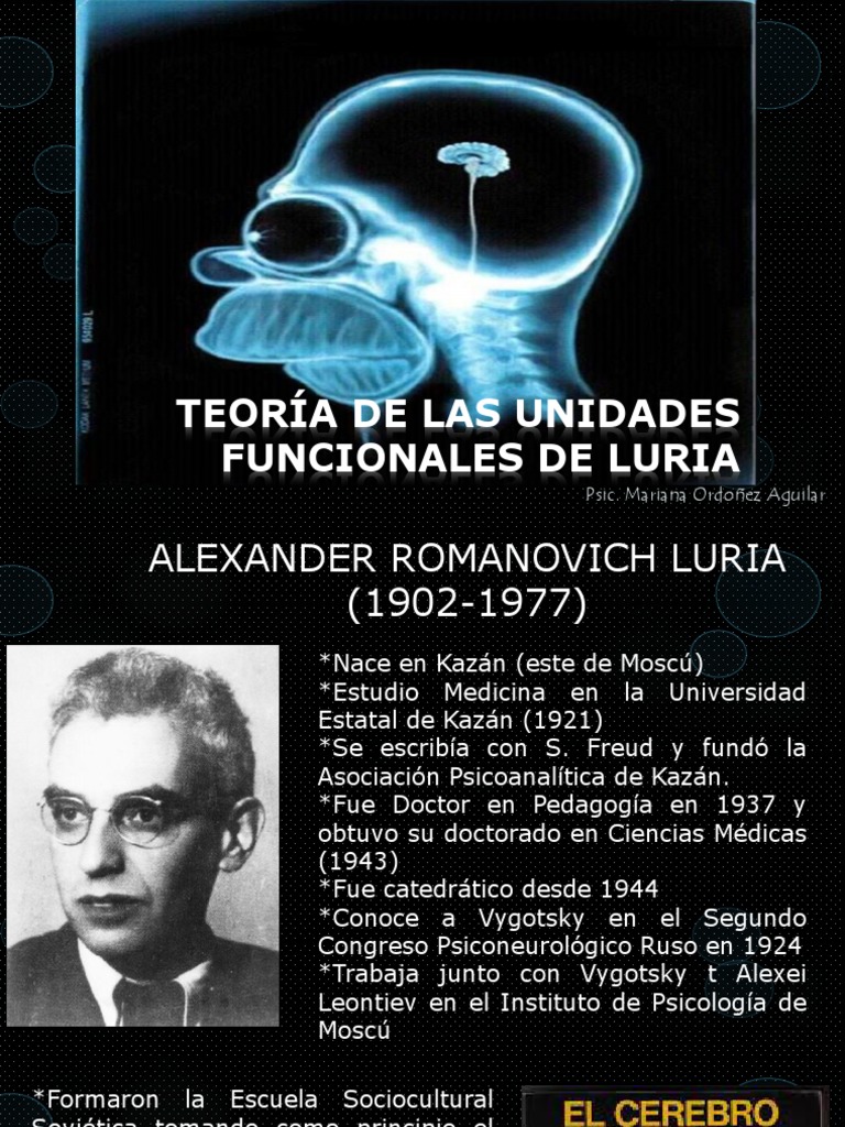 Teoría de Unidades Funcionales de Luria | PDF | Cerebro | Corteza cerebral