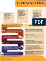 Infografia Riesgos Financieros