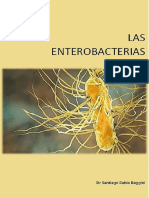 Enter o Bacterias