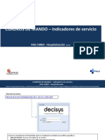 Manual Indicadores de Servicio Decisys-1