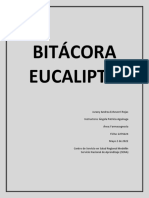 Bitacora Eucalipto